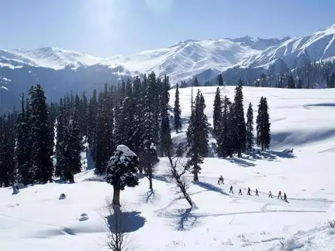 Kashmir